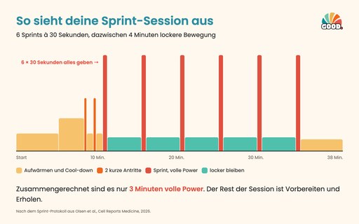 So sieht deine Sprint-Session aus